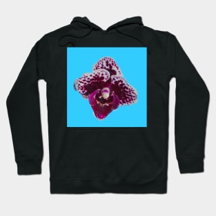 Purple Speckled Orchid Hoodie